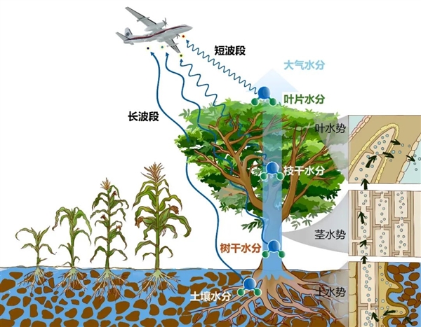 國際首次！中國航空遙感系統(tǒng)試驗(yàn)成功